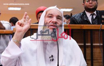 الشيخ محمد حسان أمام المحكمة