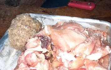 ضبط كمية من اللحوم غير الصالحة للاستهلاك الأدمى بمدينة مطوبس فى كفر الشيخ