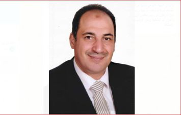 أيمن عبد الحليم هيبة المدير التنفيذي لجمعية تنمية الطاقة