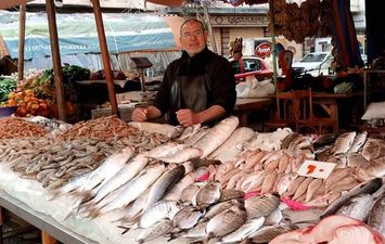  ارتفاع طفيف في أسعار السمك بأسواق الإسكندرية 