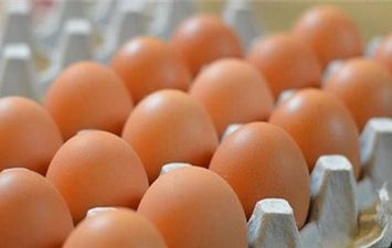 الفرق بين البيض الأورجانيك والعادي 
