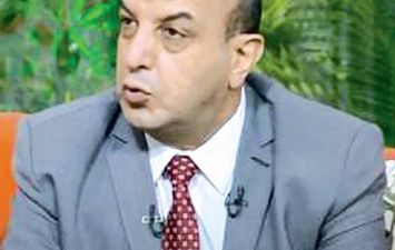 المهندس عبد المنعم خليل رئيس قطاع التجارة الداخلية بوزارة التموين والتجارة الداخلية