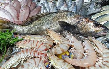 أزمة ارتفاع أسعار السمك بمطروح