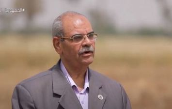 المهندس مصطفى راشد مدير عام الزراعة ونقيب الزراعيين بمحافظة بني سويف