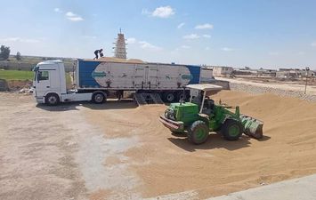 مطروح تورد ٤٤٤ طن من القمح لصومعة الشمامة بمدينة الحمام