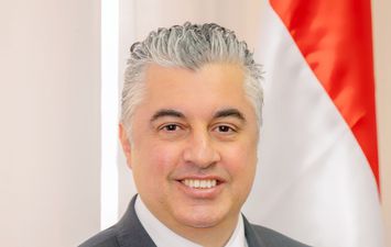 وليد جمال الدين نائب رئيس الهيئة العامة للمنطقة الاقتصادية