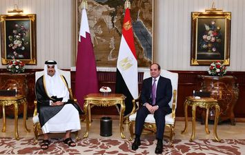 الرئيس السيسي وتميم بن حمد أمير قطر 