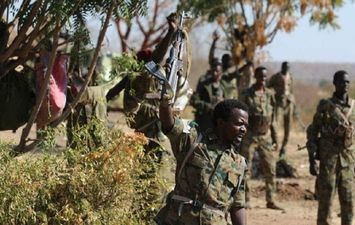 القوات المسلحة السودانية 