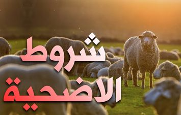 شروط أضحية عيد الأضحى 