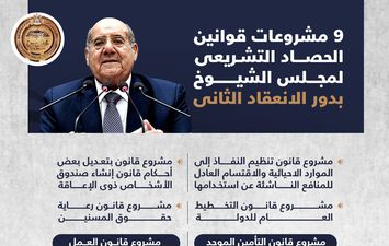 مشروعات قوانينةالشيوخ دور الانعقاد الثاني 