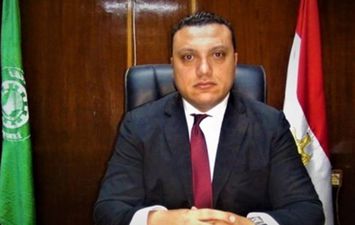 هيثم الشيخ نائب محافظ الدقهلية