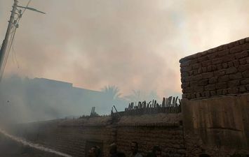 حريق في منطقة شجرية بمدينة فرشوط بقنا 