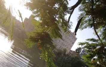 الإنقاذ النهرى بالدقهلية 