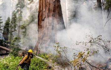 حريق بحديقة يوسمايت في كاليفورنيا  