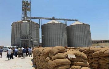 محافظ مطروح ... وردنا 3039 طن من محصول القمح لصومعة الشمامة بمدينة الحمام 