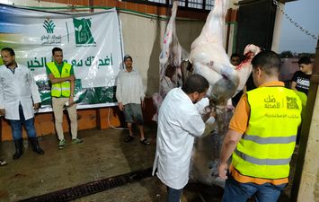 مصر الخير تذبح 184 رأس ماشية 