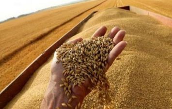 يحصد المزارعون في البلدين حاليا محصول القمح الخاص بعام 2022