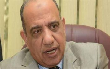 محمود عصمت وزير قطاع الاعمال