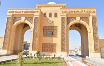 جامعة الوادي الجديد