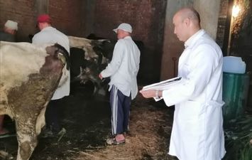 الحملة القومية لتحصين الماشية ضد مرضى الحمى القلاعية 