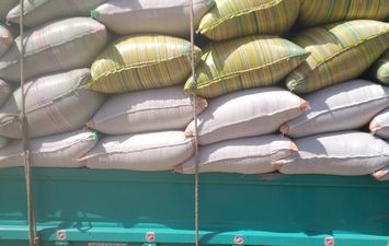 ضبط أرز شعير بكفر الشيخ قبل بيعه بالسوق السوداء