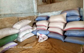 ضبط 8 طن أرز أبيض و136 طن أرز شعير قبل بيعها فى السوق السوداء بكفر الشيخ