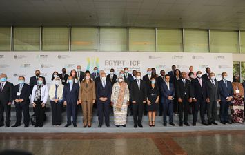  منتدى مصر للتعاون الدولي - أرشيفية