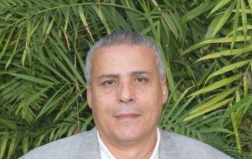 عماد قناوي رئيس شعبة المستوردين بغرفة القاهرة التجارية 