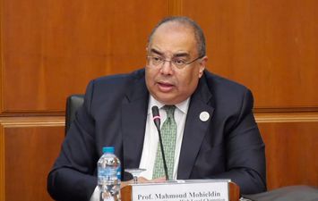 الدكتور محمود محيي الدين، رائد المناخ للرئاسة المصرية 