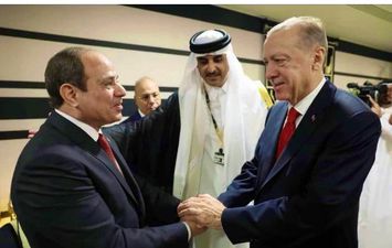 أردوغان والرئيس السيسي