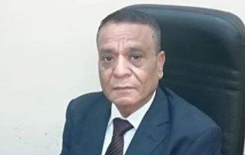 المستشار محمود محمد محمود البريرى رئيس المحكمة
