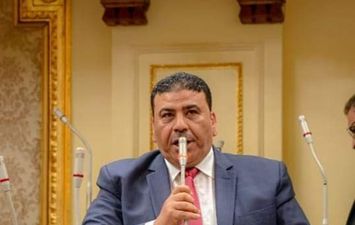 عضو مجلس النواب حمودة محمد حمودة