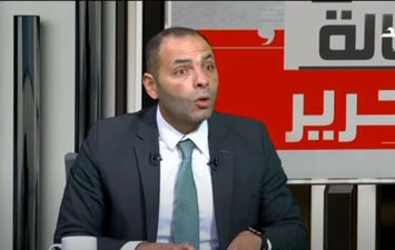 الخبير الاقتصادي أحمد أبو السعد