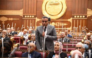 عمرو فهمي عضو مجلس الشيوخ