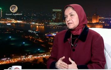  الدكتورة يمنى الحماقي، أستاذة الاقتصاد