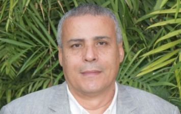    عماد قناوي رئيس شعبة المستوردين 