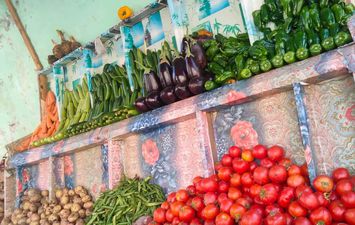 اسعار الخضروات والفاكهة 