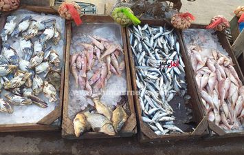 أسعار الأسماك بأسواق كفر الشيخ 