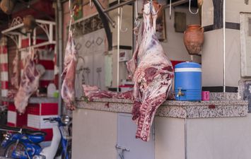 ذبح الأضاحي واللحوم في المجازر
