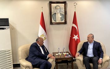 وزير خارجية مصر وتركيا