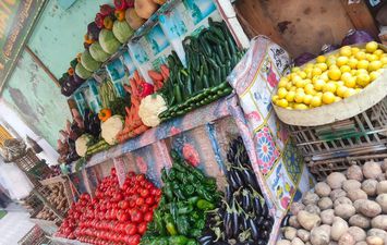 أسعار الخضروات والفاكهة في أسواق البحيرة 