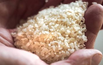  أسعار الأرز التمويني 
