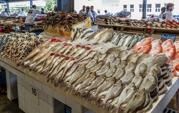 اسعار الأسماك والمأكولات البحرية