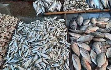 أسعار الأسماك بكفر الشيخ اليوم.  أرشيفية  