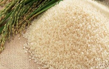 ارز الشعير