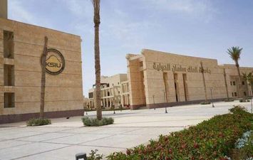 مشروعات التعليم العالي في سيناء