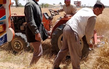 وزير الزراعة يتابع حصاد وتوريد القمح