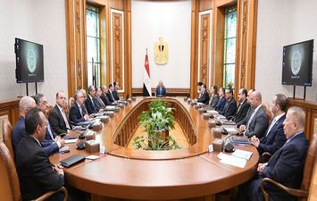  الرئيس السيسي يترأس الاجتماع الأول للمجلس الأعلى للاستثمار 
