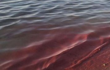 لماذا تحولت مياه البحر الأحمر إلى اللون الوردي؟