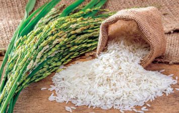 انخفاض اسعار الأرز